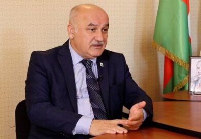 “Ağalarov qanunu”na Arif Hacılıdan etiraz