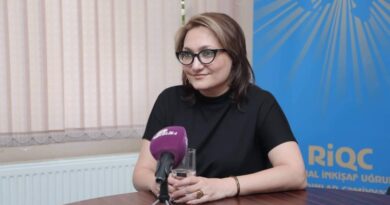 Şəhla İsmayıl da “QHT işi” üzrə təqsirləndirilən şəxsdir Şəhla İsmayıl da “QHT işi” üzrə təqsirləndirilən şəxsdir