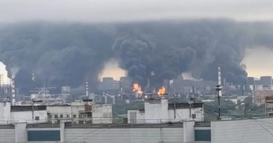 Moskvaya hücum: Foto və videolar